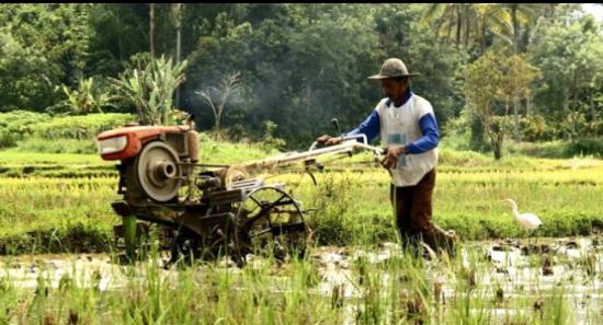 Water for next farming season, next month